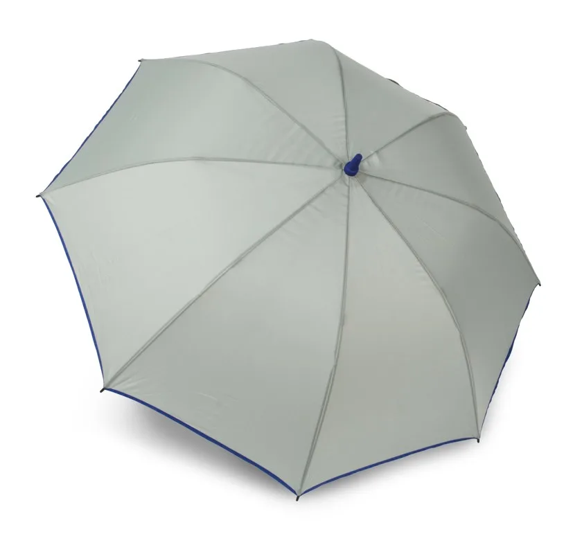 Storm Grey / Royal Blue