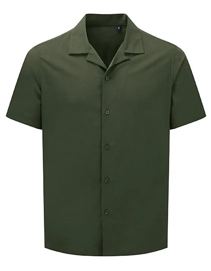 Solid Olive