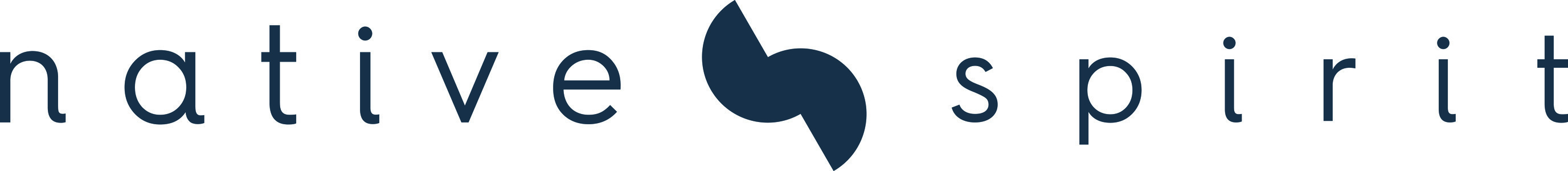 Native Spirit Logo